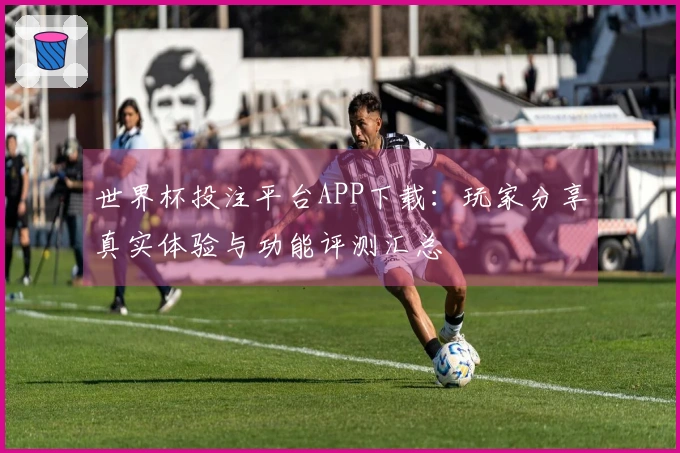 世界杯投注平台APP下载：玩家分享真实体验与功能评测汇总