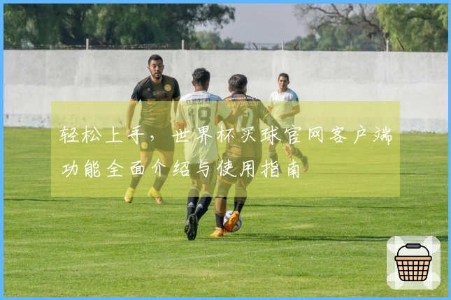 轻松上手，世界杯买球官网客户端功能全面介绍与使用指南