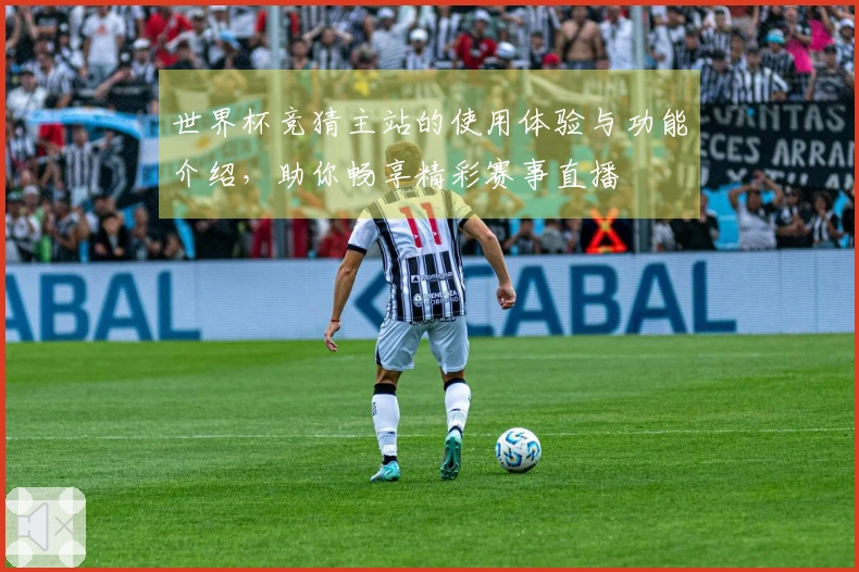 世界杯竞猜主站的使用体验与功能介绍,助你畅享精彩赛事直播