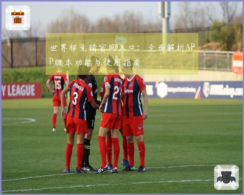 世界杯竞猜官网入口：全面解析APP版本功能与使用指南